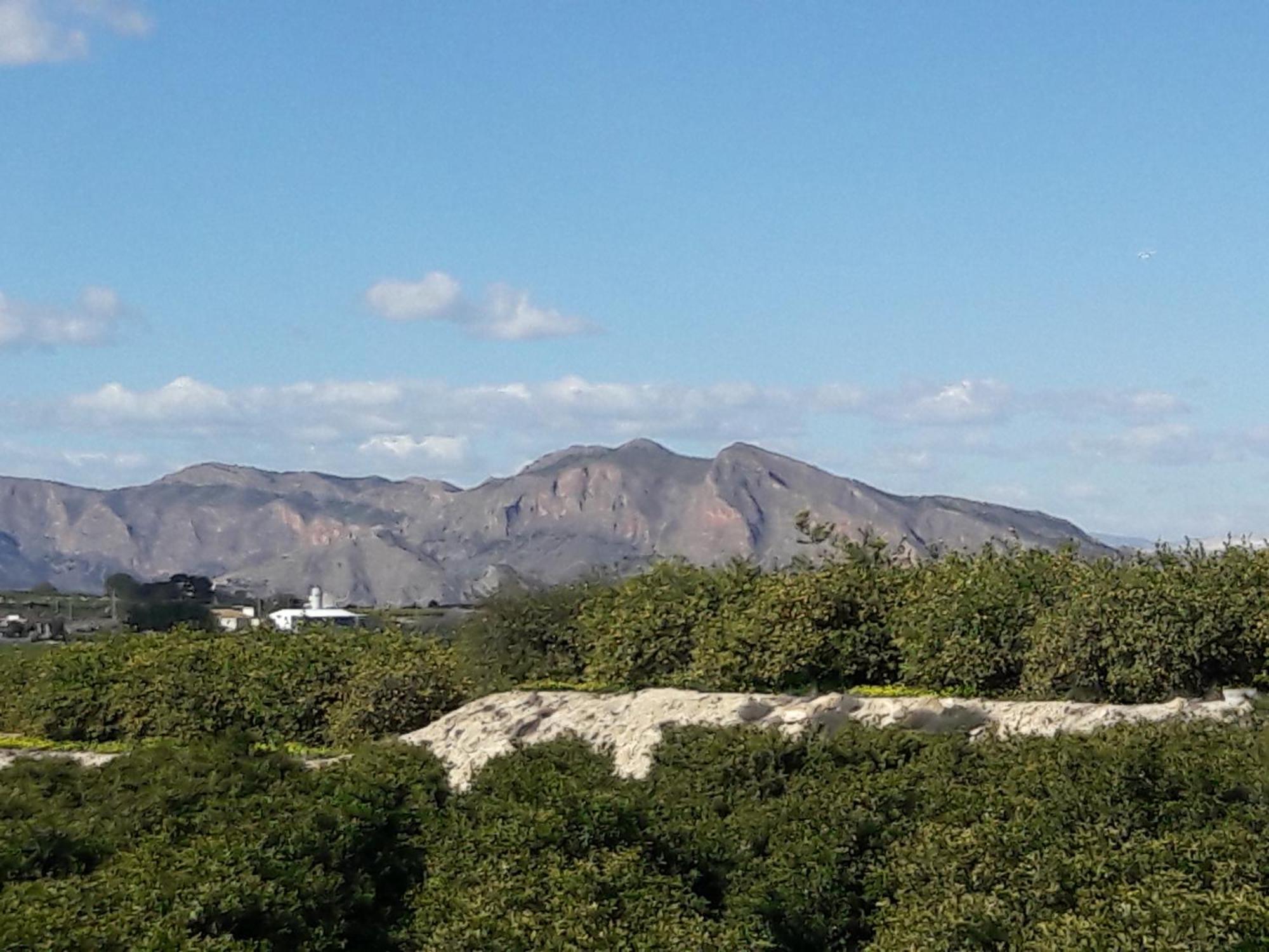 Carolinas Aptmt Orihuela Villacosta エクステリア 写真